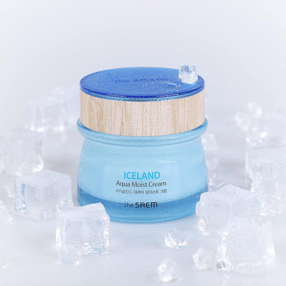 [The SAEM] Iceland Aqua Moist Cream 60Ml - Moisture Coating Hydrating Facial Cream with Iceland Mineral Water for Dry Skin, Hypoallergenic Safe Formula